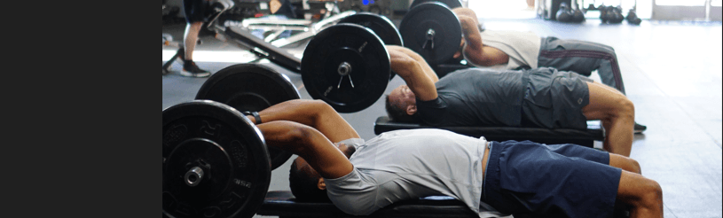 Chest & Triceps